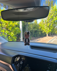 X - Air Freshener